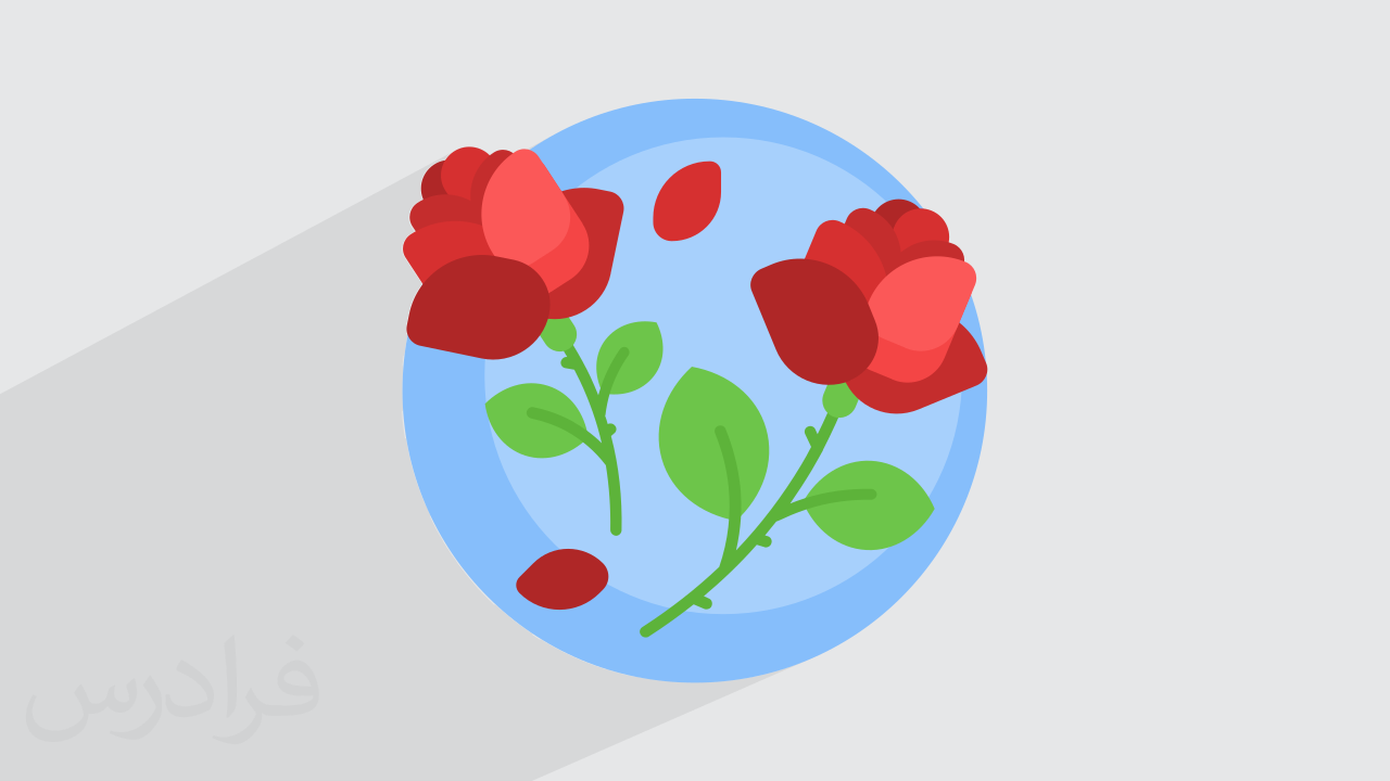 آموزش حفظ و نگهداری گل محمدی (رایگان)