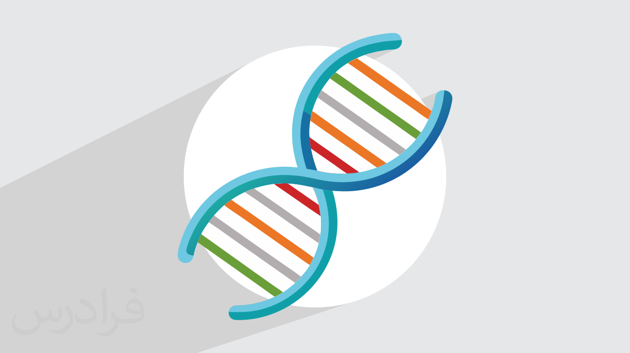 DNA چیست؟ آموزش ساختار و عملکرد دی‌ ان‌ ای در بدن انسان (رایگان)