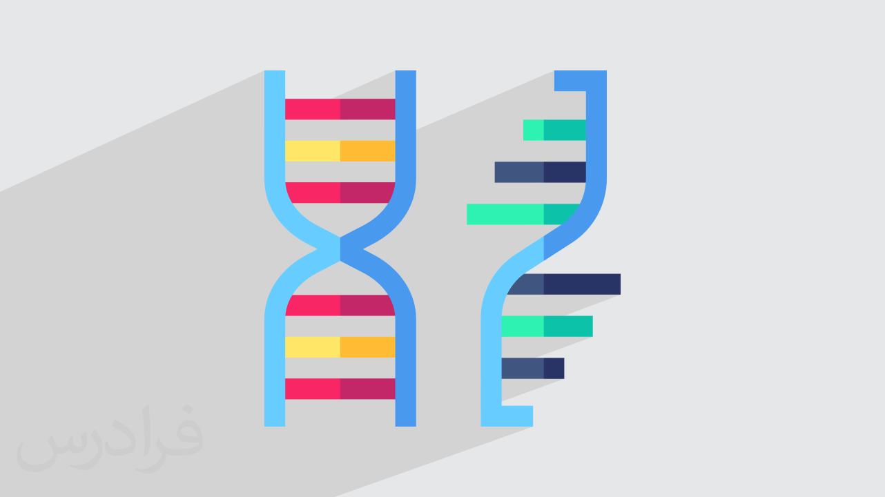 ریبونوکلئیک اسید RNA چیست؟ + ساختار، انواع و عملکرد آن به زبان ساده (آموزش رایگان)