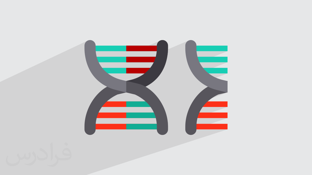 آموزش رونویسی در پروکاریوت‌ها + سنتز RNA (رایگان)